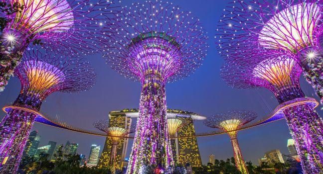 Gardens By The Bay Review Singapore Asia Sight Fodor S Travel